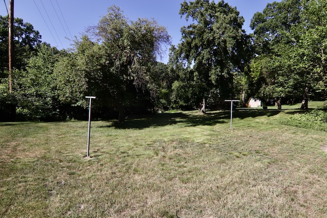 1340 Elmdale St NE, Grand Rapids, MI 49525 - view of green lawn