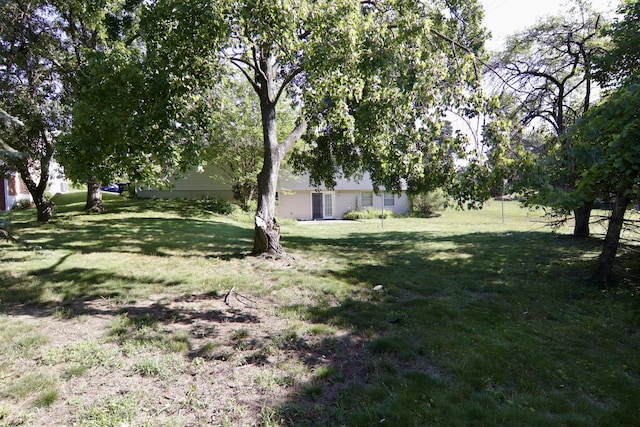 1340 Elmdale St NE, Grand Rapids, MI 49525 - view of green lawn