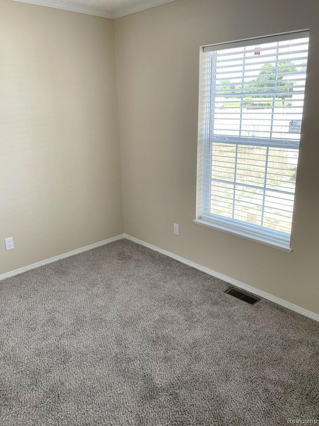 1190 Primrose Ct, Albion, MI 49224 - photo 18