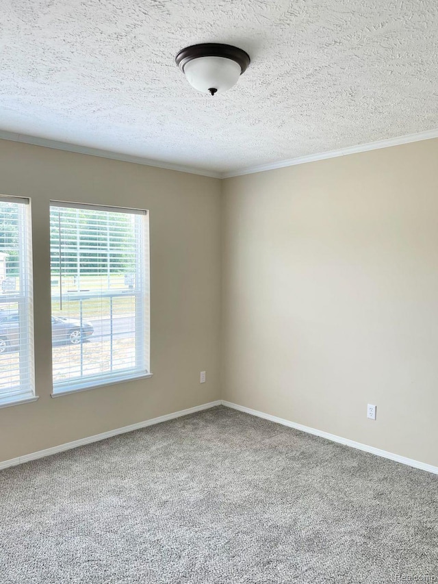 1190 Primrose Ct, Albion, MI 49224 - photo 4