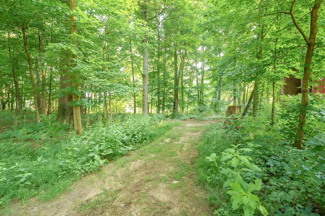 1020 Miller Rd, Plainwell, MI 49080 - photo 40