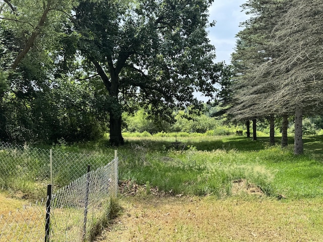 1230 Golden Ave, Battle Creek, MI 49014 - view of undeveloped land
