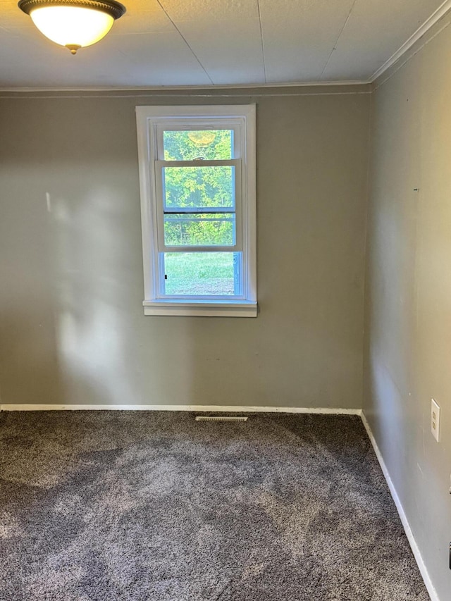 1230 Golden Ave, Battle Creek, MI 49014 - spare room with carpet flooring and crown molding