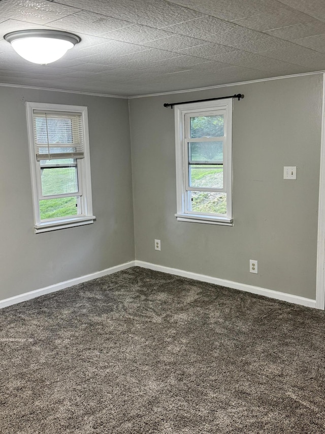 1230 Golden Ave, Battle Creek, MI 49014 - unfurnished room with plenty of natural light and carpet floors