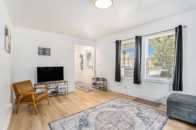 1213 Prospect Ave SE, Grand Rapids, MI 49507 - living area featuring light wood-style flooring and cooling unit