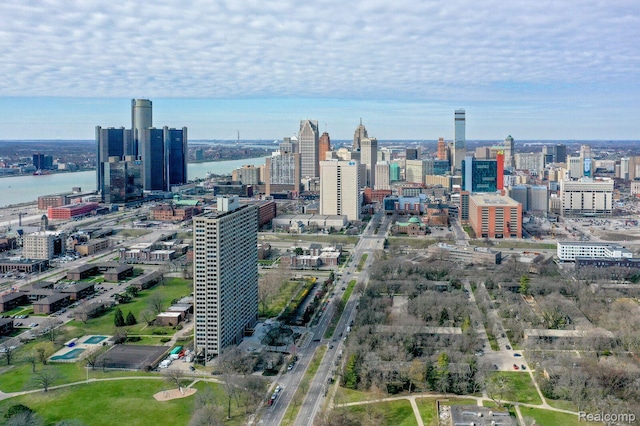 1087 Hampton Cir Unit 55, Detroit, MI 48207 - city view