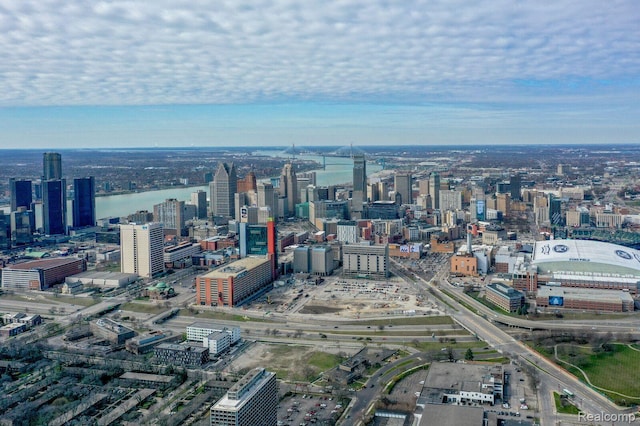 1087 Hampton Cir Unit 55, Detroit, MI 48207 - view of city