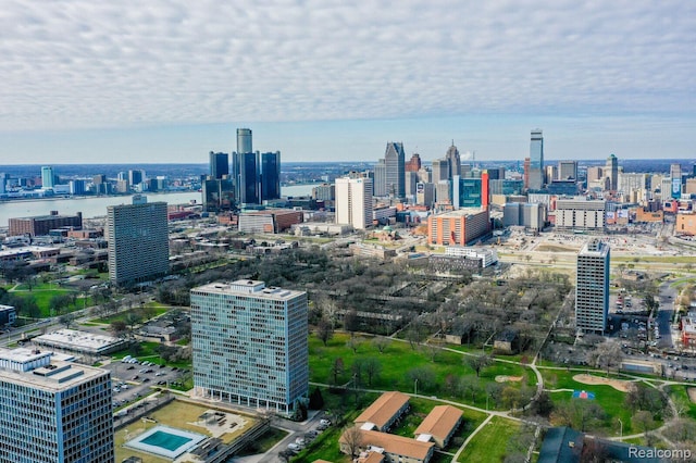 1087 Hampton Cir Unit 55, Detroit, MI 48207 - city view