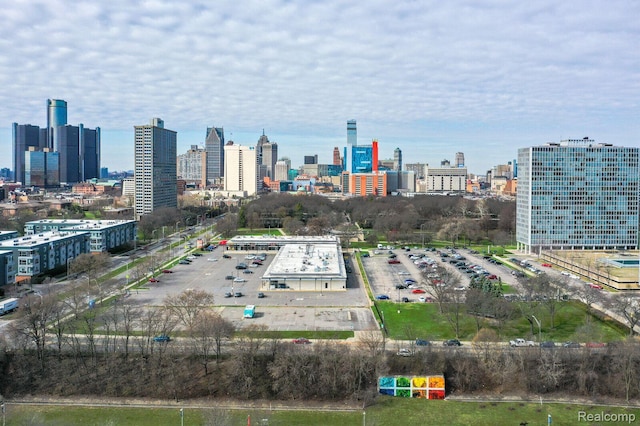 1087 Hampton Cir Unit 55, Detroit, MI 48207 - skyline view
