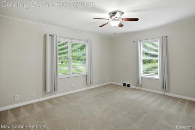 8815 Ball St, Plymouth, MI 48170 - photo 15