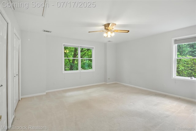 8815 Ball St, Plymouth, MI 48170 - photo 20