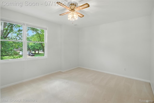 8815 Ball St, Plymouth, MI 48170 - photo 24