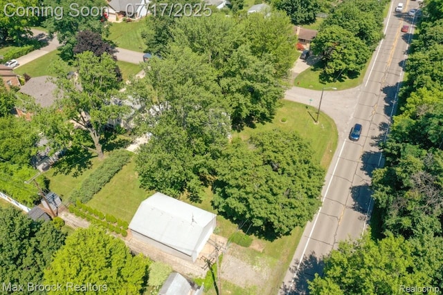 8815 Ball St, Plymouth, MI 48170 - photo 61