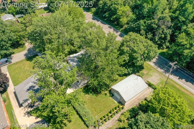 8815 Ball St, Plymouth, MI 48170 - photo 58
