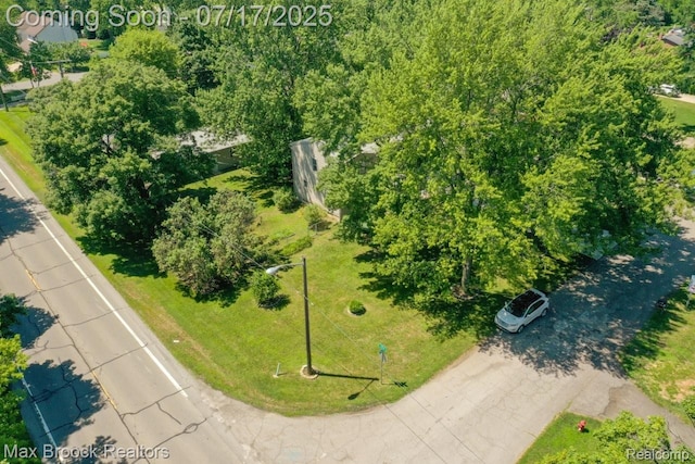 8815 Ball St, Plymouth, MI 48170 - photo 59