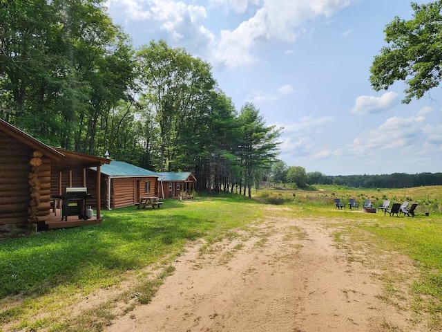 2599 N Pine Ave, White Cloud, MI 49349 - view of yard featuring an outdoor structure and dirt driveway