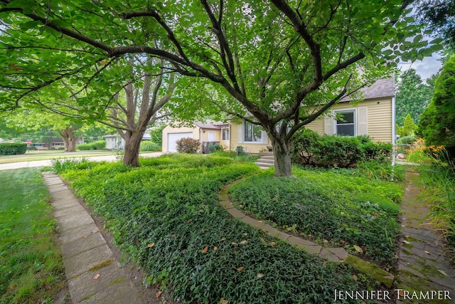 4001 Hillsdale Ave NE, Grand Rapids, MI 49525 - view of front facade