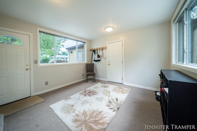 4001 Hillsdale Ave NE, Grand Rapids, MI 49525 - foyer entrance featuring carpet flooring and baseboards