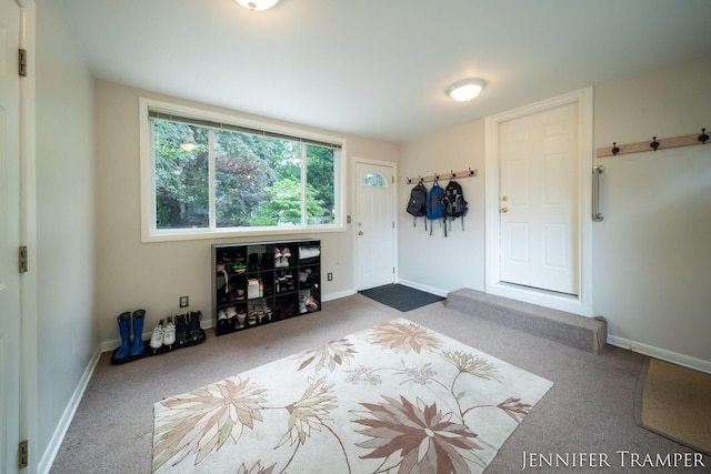 4001 Hillsdale Ave NE, Grand Rapids, MI 49525 - carpeted entrance foyer with baseboards