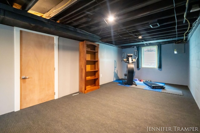 4001 Hillsdale Ave NE, Grand Rapids, MI 49525 - below grade area with carpet