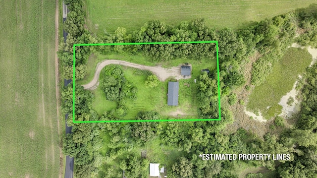 955 Crispell Rd, Clarklake, MI 49234 - photo 5