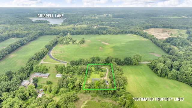955 Crispell Rd, Clarklake, MI 49234 - photo 31