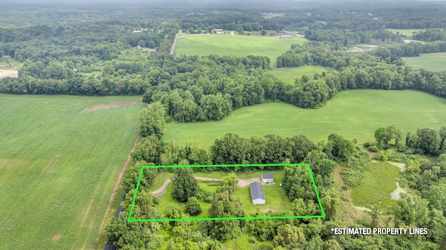 955 Crispell Rd, Clarklake, MI 49234 - photo 32
