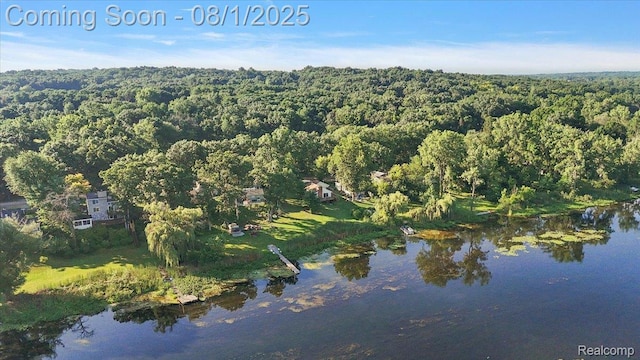 9080 River Valley Rd, Brighton, MI 48116 - photo 65