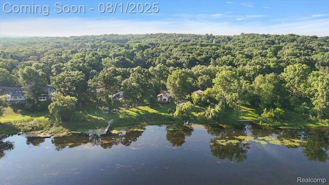 9080 River Valley Rd, Brighton, MI 48116 - photo 64