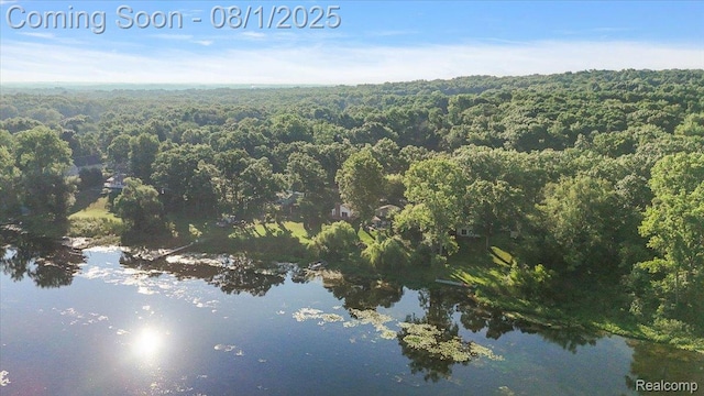 9080 River Valley Rd, Brighton, MI 48116 - photo 63