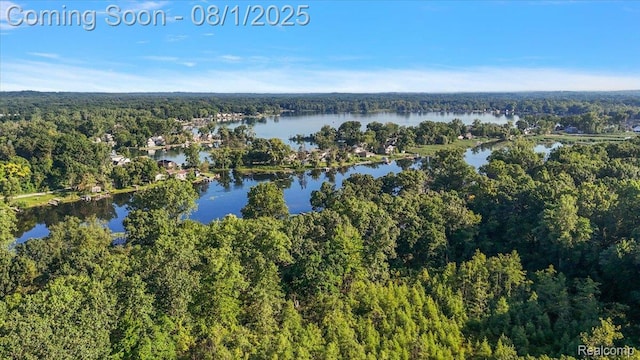 9080 River Valley Rd, Brighton, MI 48116 - photo 68
