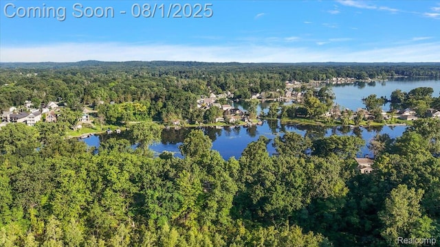 9080 River Valley Rd, Brighton, MI 48116 - photo 67