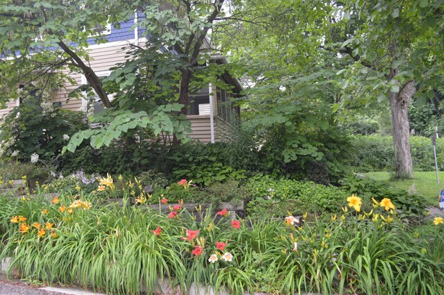 501 W Mosley St, Ann Arbor, MI 48103 - view of yard