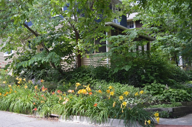 501 W Mosley St, Ann Arbor, MI 48103 - view of side of home