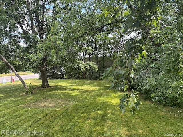 3605 Hogarth Ave, Flint, MI 48532 - view of green lawn
