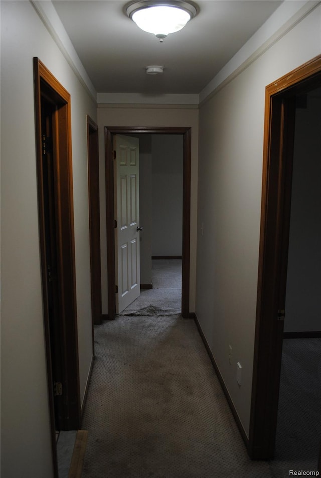 4785 Mayer Rd, China, MI 48054 - hallway with carpet floors and baseboards