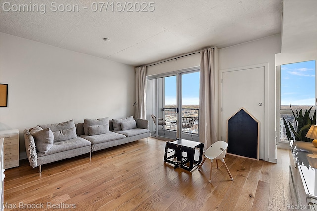 432 S Washington Ave Unit 1402, Royal Oak, MI 48067 - living area with light wood-type flooring and a textured ceiling