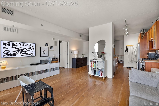 432 S Washington Ave Unit 1402, Royal Oak, MI 48067 - living area with light wood finished floors