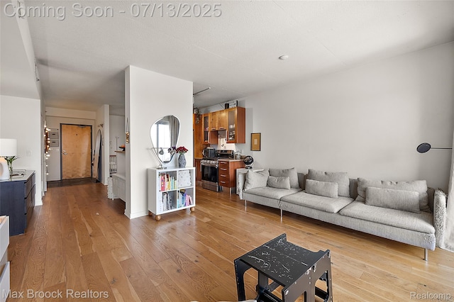 432 S Washington Ave Unit 1402, Royal Oak, MI 48067 - living room featuring light wood-type flooring