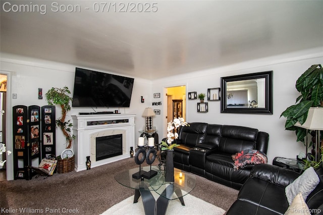 20310 Burt Rd, Detroit, MI 48219 - carpeted living area featuring a glass covered fireplace