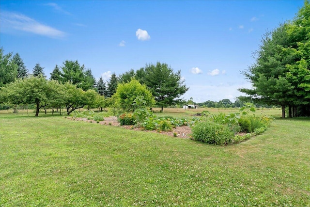 361 4th St, Plainwell, MI 49080 - photo 40