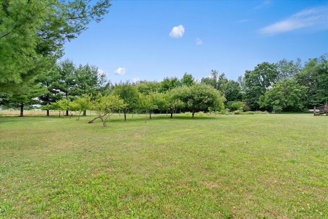 361 4th St, Plainwell, MI 49080 - photo 43