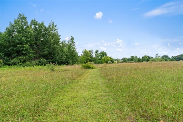 361 4th St, Plainwell, MI 49080 - photo 44