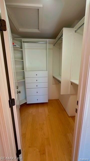 45903 Dutton Dr, Shelby Twp, MI 48044 - walk in closet with attic access and light wood-style floors