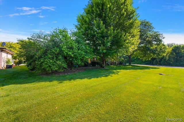 16322 Canterbury Ct, Macomb, MI 48044 - view of green lawn