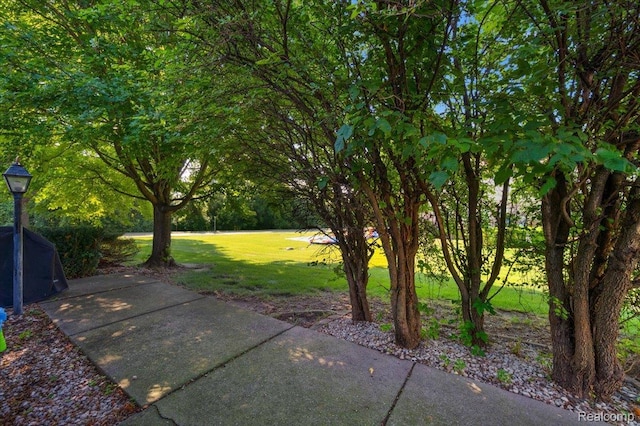 16322 Canterbury Ct, Macomb, MI 48044 - view of grassy yard