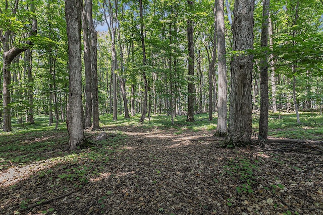 2000 W Hawley Rd, Scottville, MI 49454 - photo 30