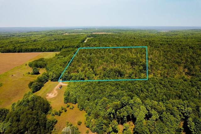 8765 Beckett, Johannesburg, MI 49751 - photo 65