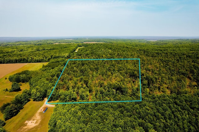 8765 Beckett, Johannesburg, MI 49751 - photo 61