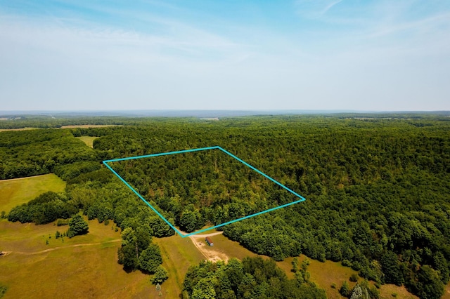 8765 Beckett, Johannesburg, MI 49751 - photo 62